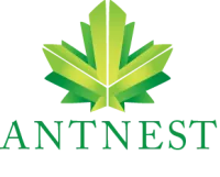 Ant Nest Jsc Ant Nest Jsc